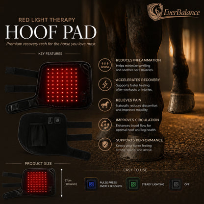 Everbalance Horse Red Light Therapy Boot