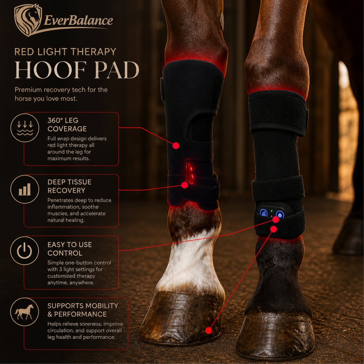 Everbalance Horse Red Light Therapy Boot